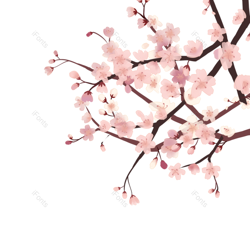 元素图片,素材元素,树枝PNG,设计元素免抠素材